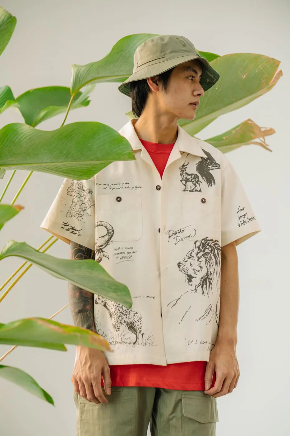 pronto safari
