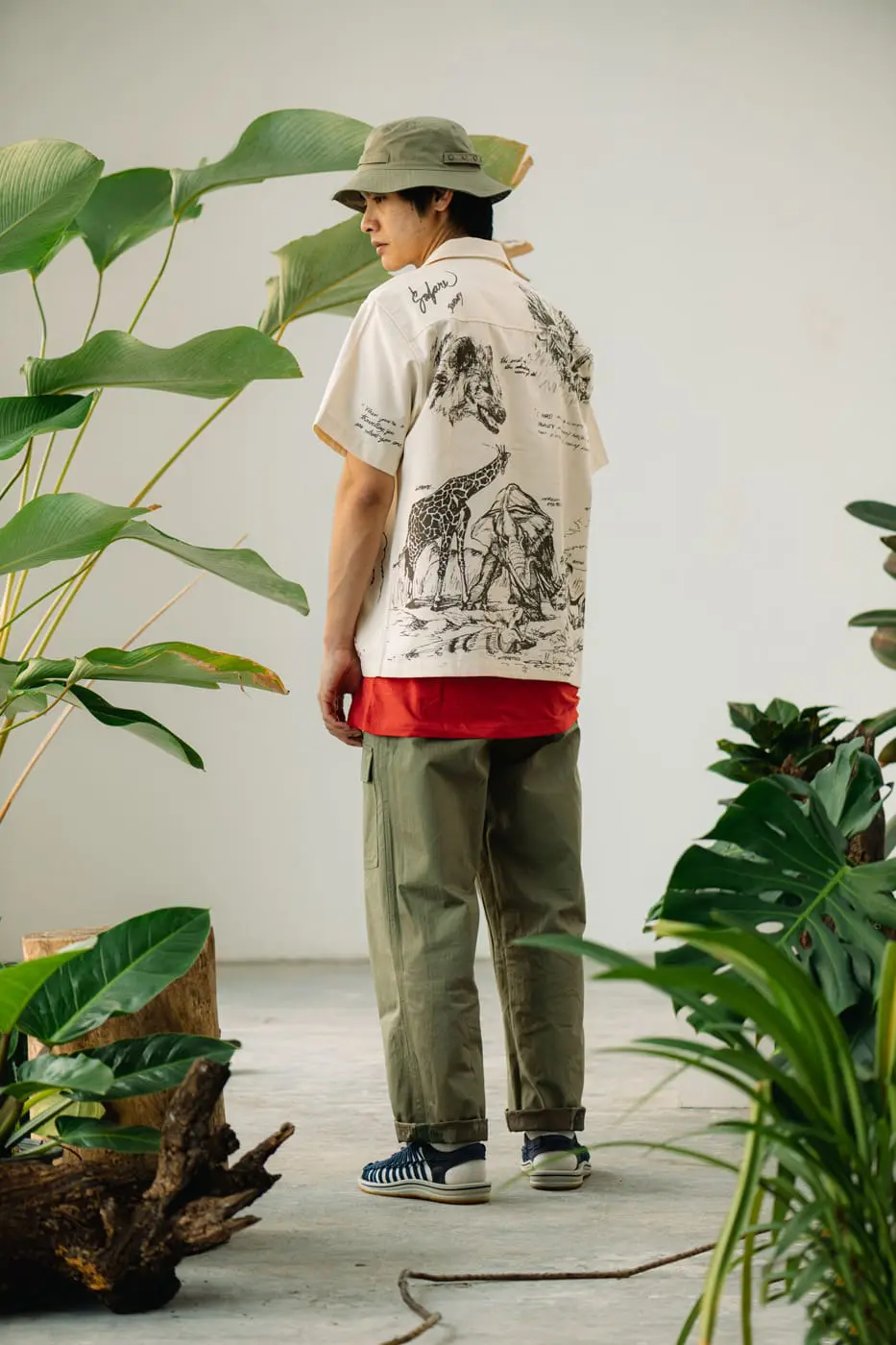 pronto safari