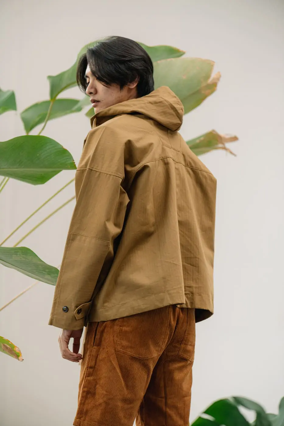 pronto safari