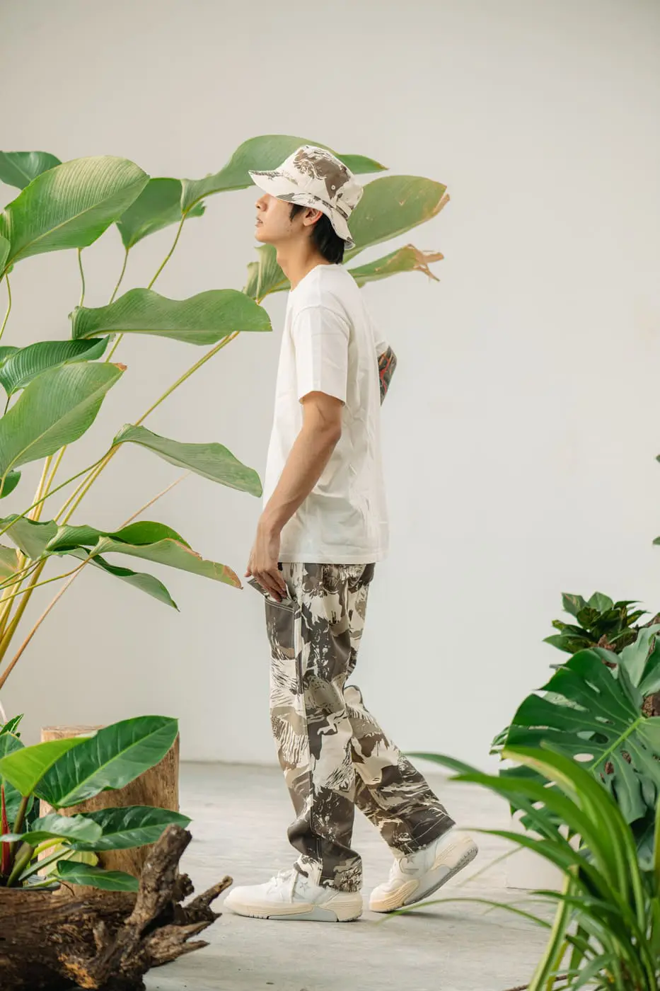 pronto safari