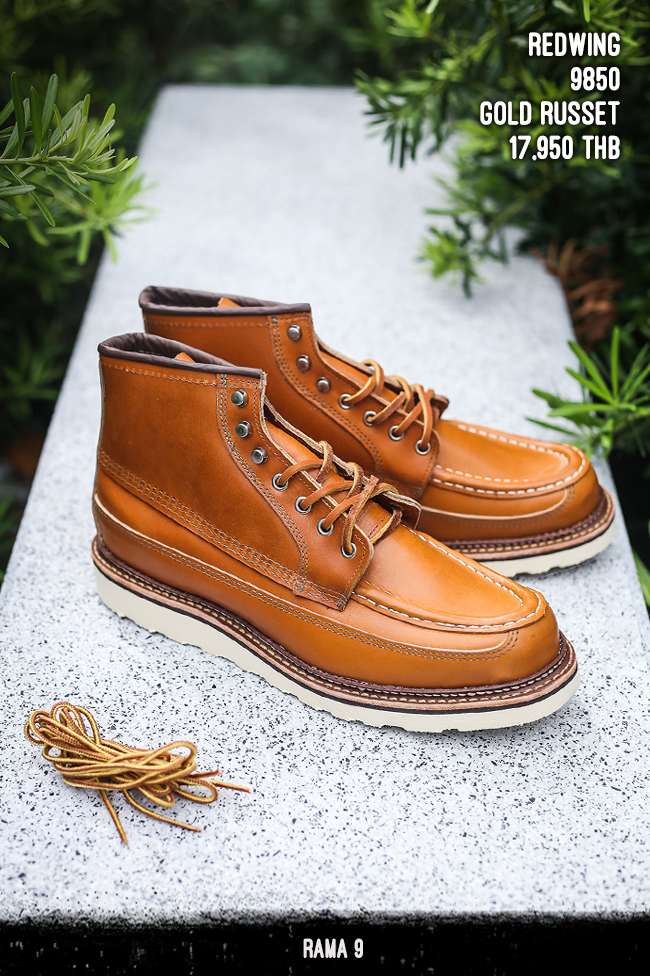 NEW ARRIVAL : REDWING
