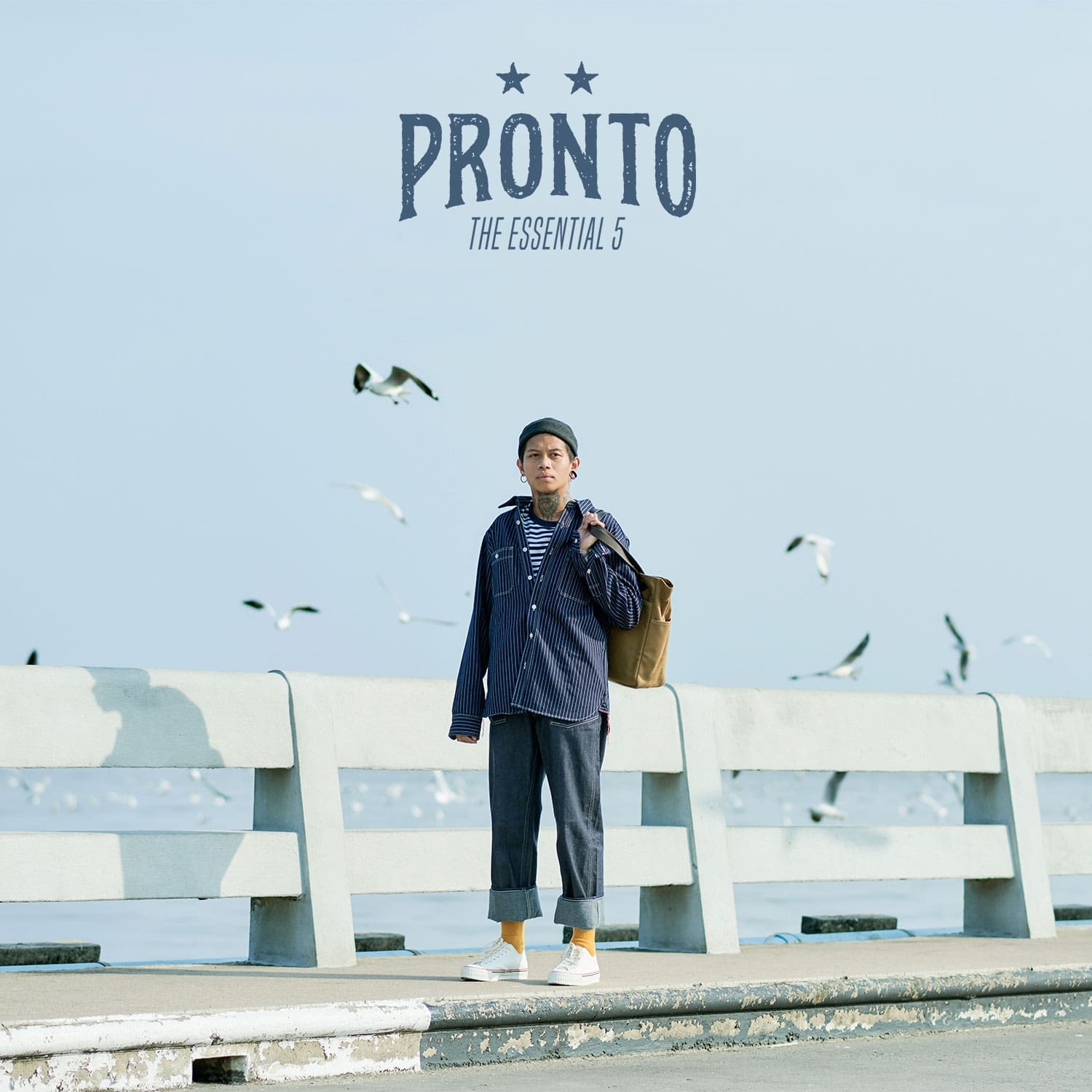 PRONTO ESSENTIAL 5 : Winter Breeze2