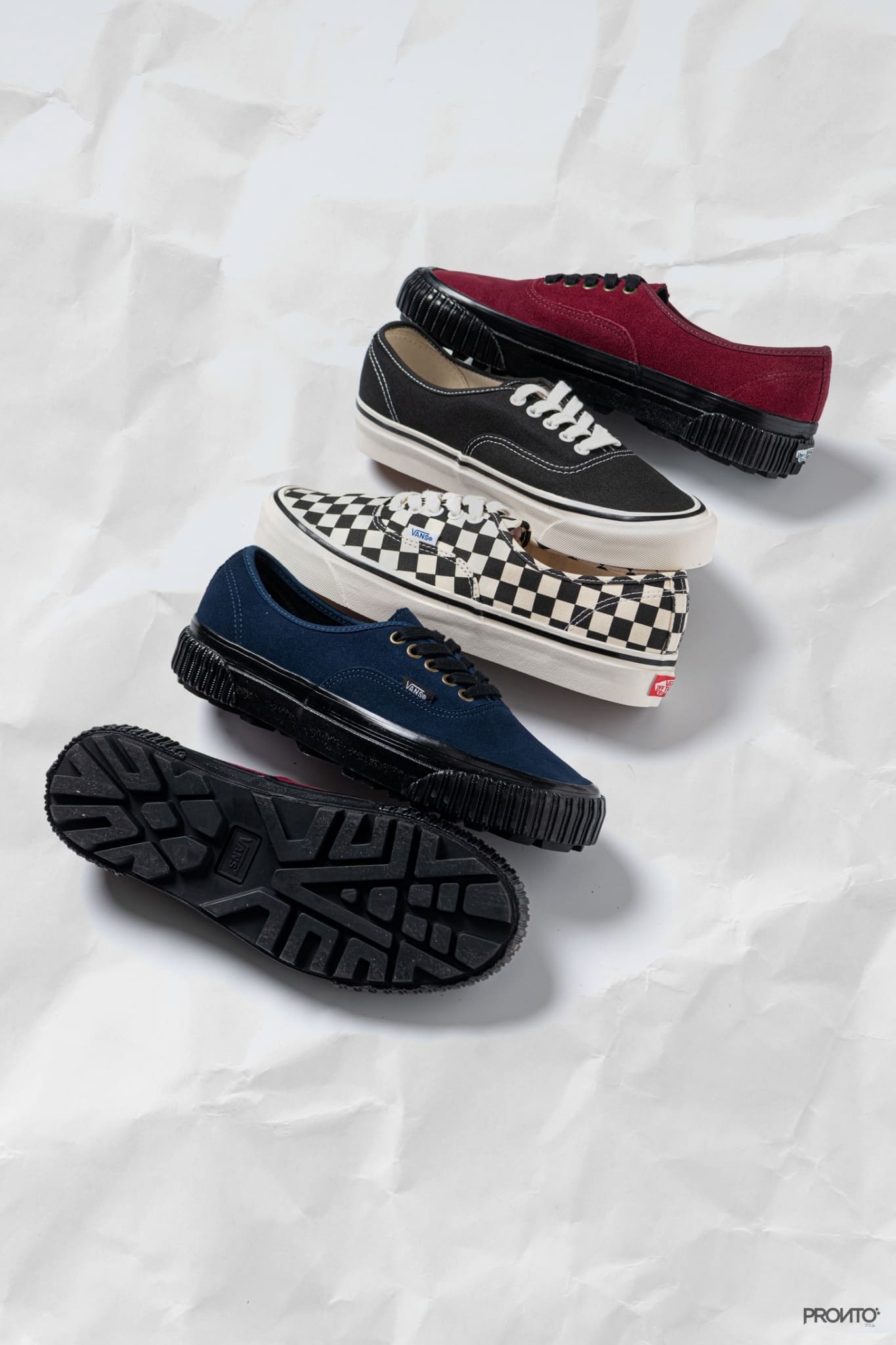 New Arrival : Vans